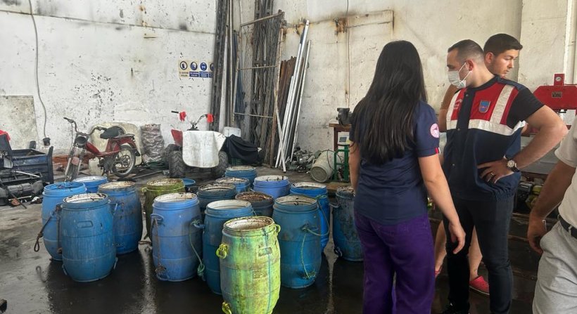 Yasadışı Yollarla Avlanan Deniz Patlıcanları Denize Salındı