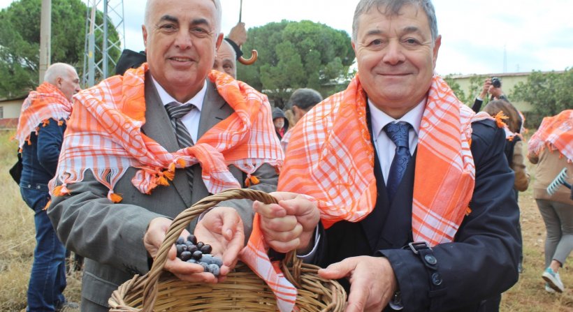 BERGAMA'DA ZEYTİN ve ZEYTİNYAĞI SEZON AÇILIŞI YAPILDI