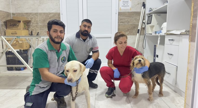 O can dostlara Menemen'de şefkat eli