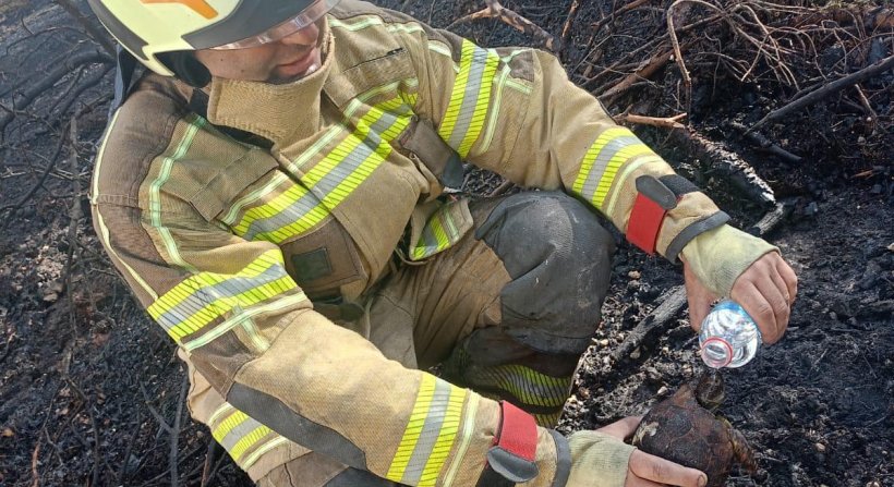Foça'daki yangına İzmir İtfaiyesi ekipleri de müdahale etti